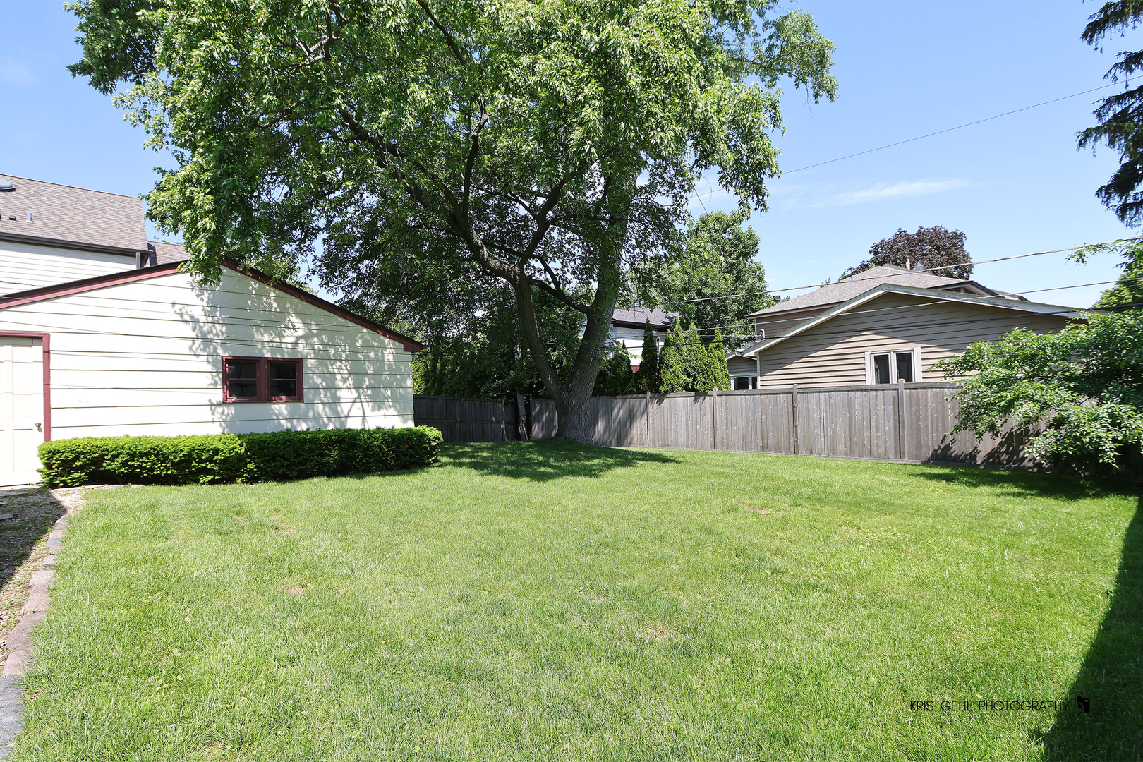Gallery Image 15