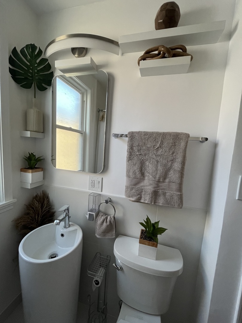 Gallery Image 11