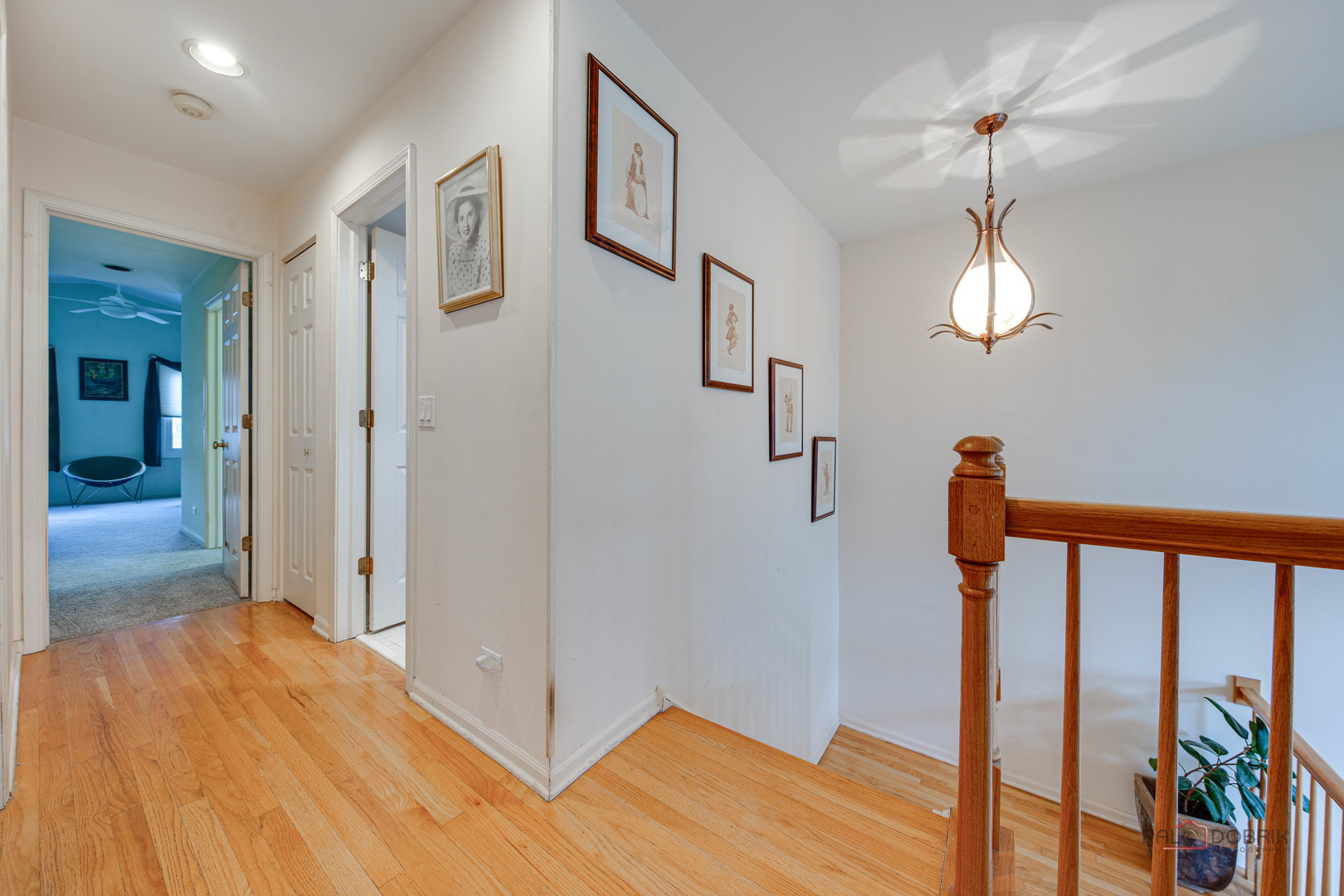 Gallery Image 19