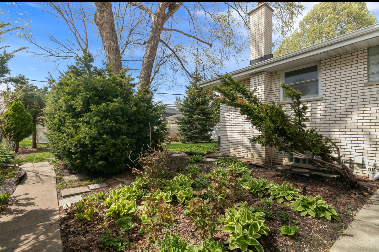 Gallery Image 16