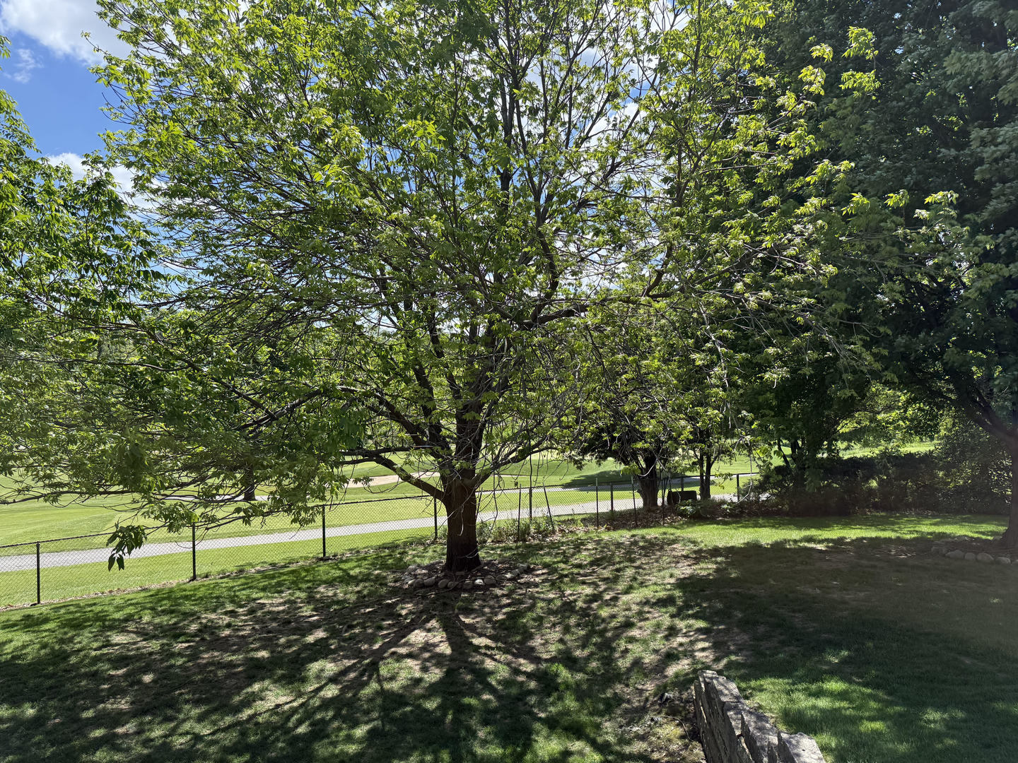 Gallery Image 6