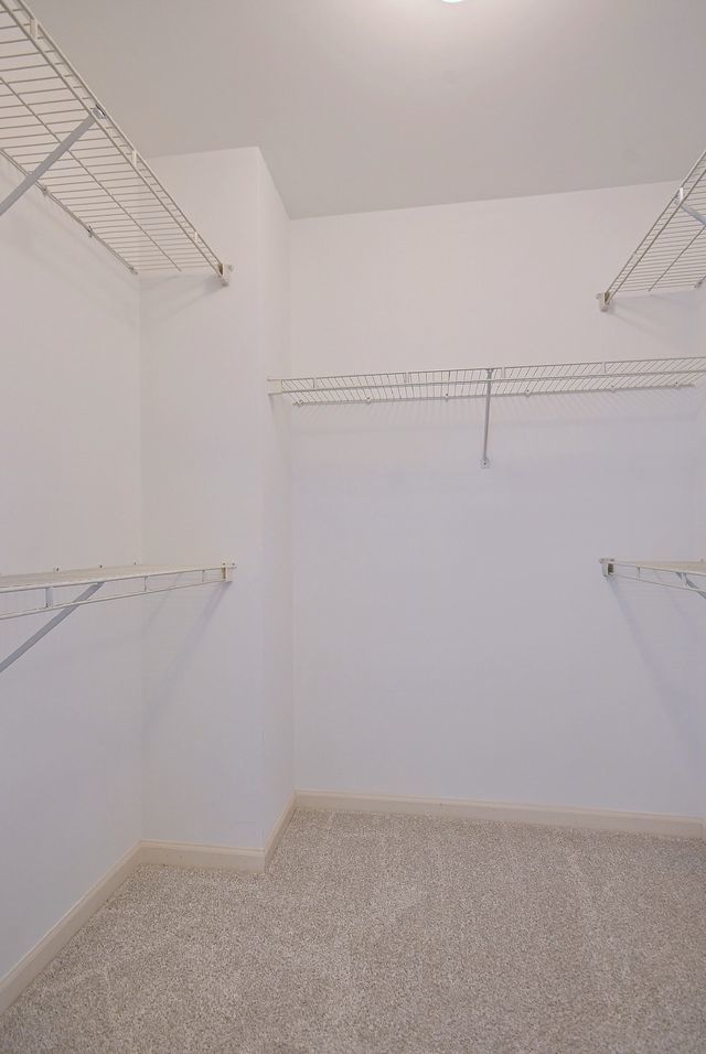 Gallery Image 26