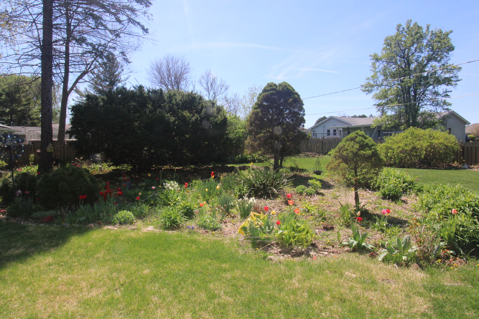 Gallery Image 29