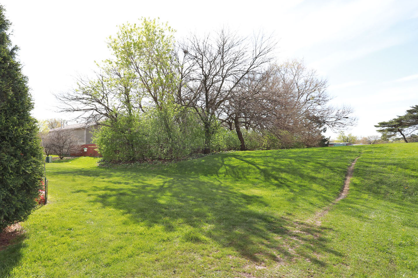 Gallery Image 38