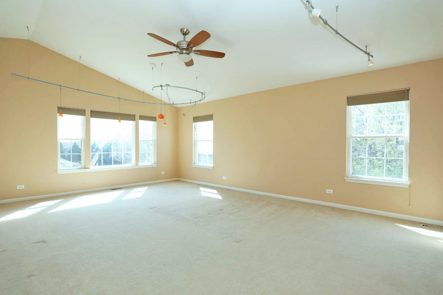 Gallery Image 18