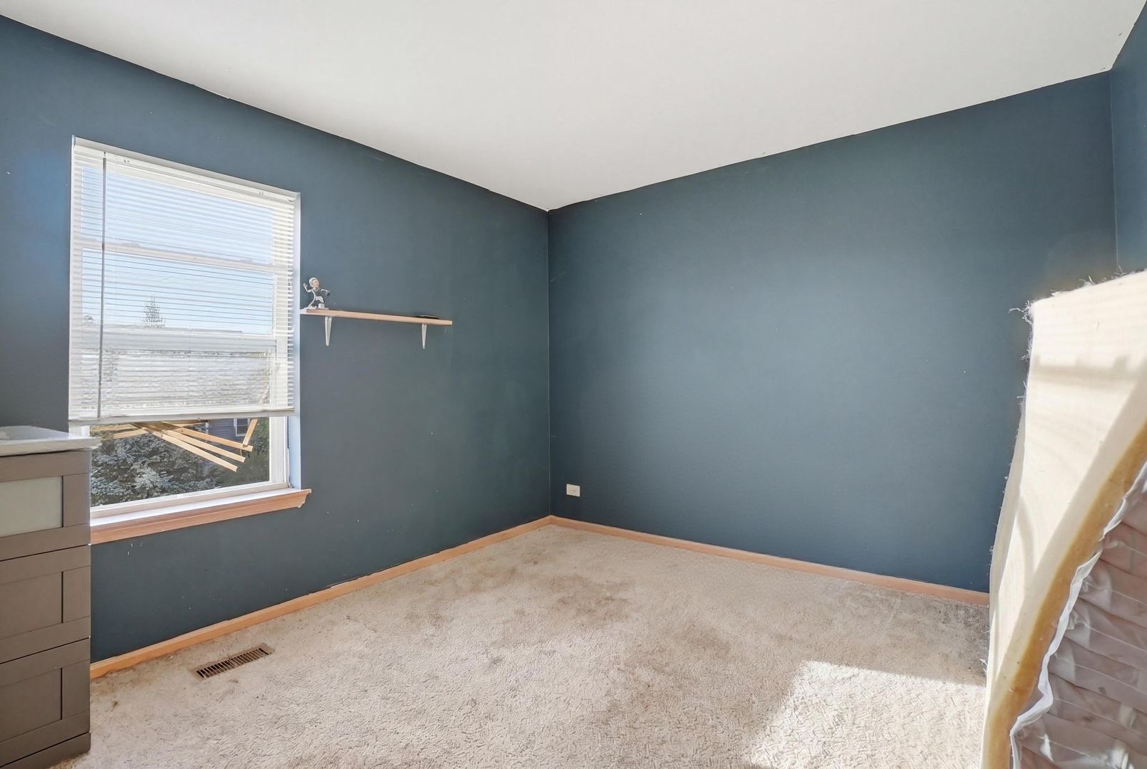 Gallery Image 19