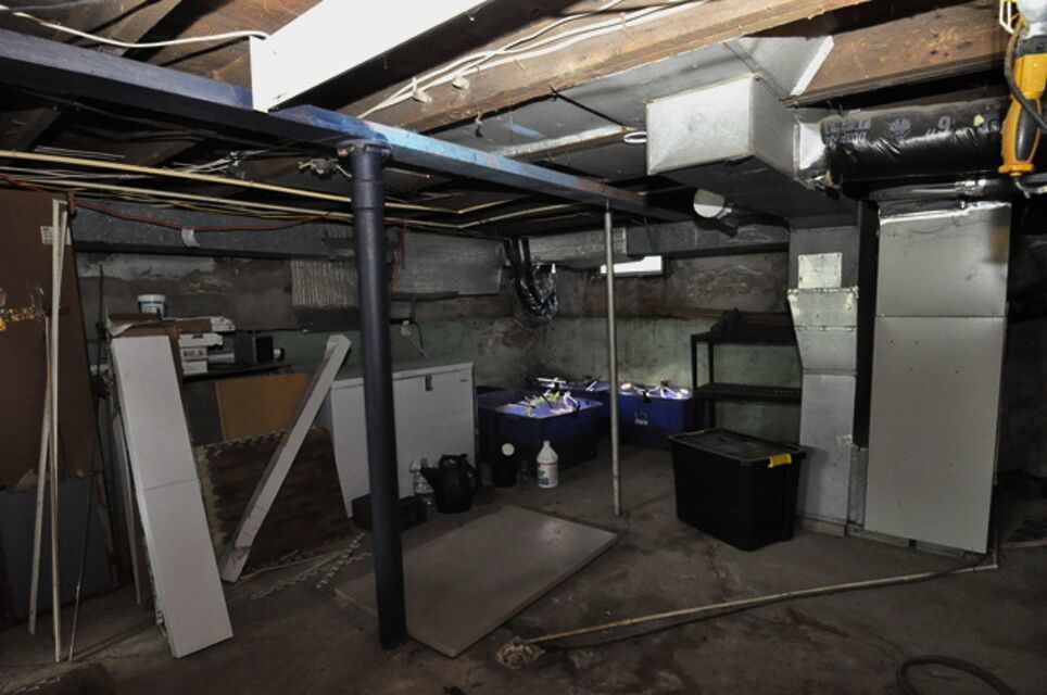 Gallery Image 20