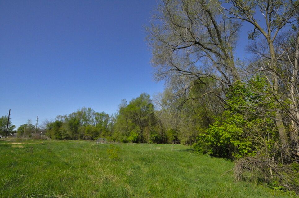Gallery Image 35