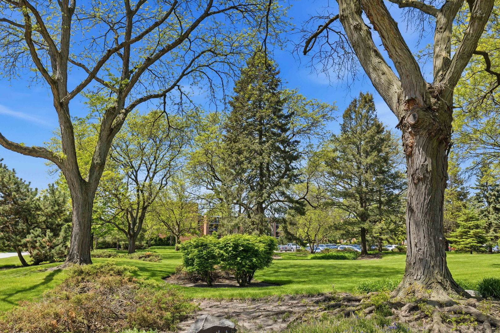 Gallery Image 17