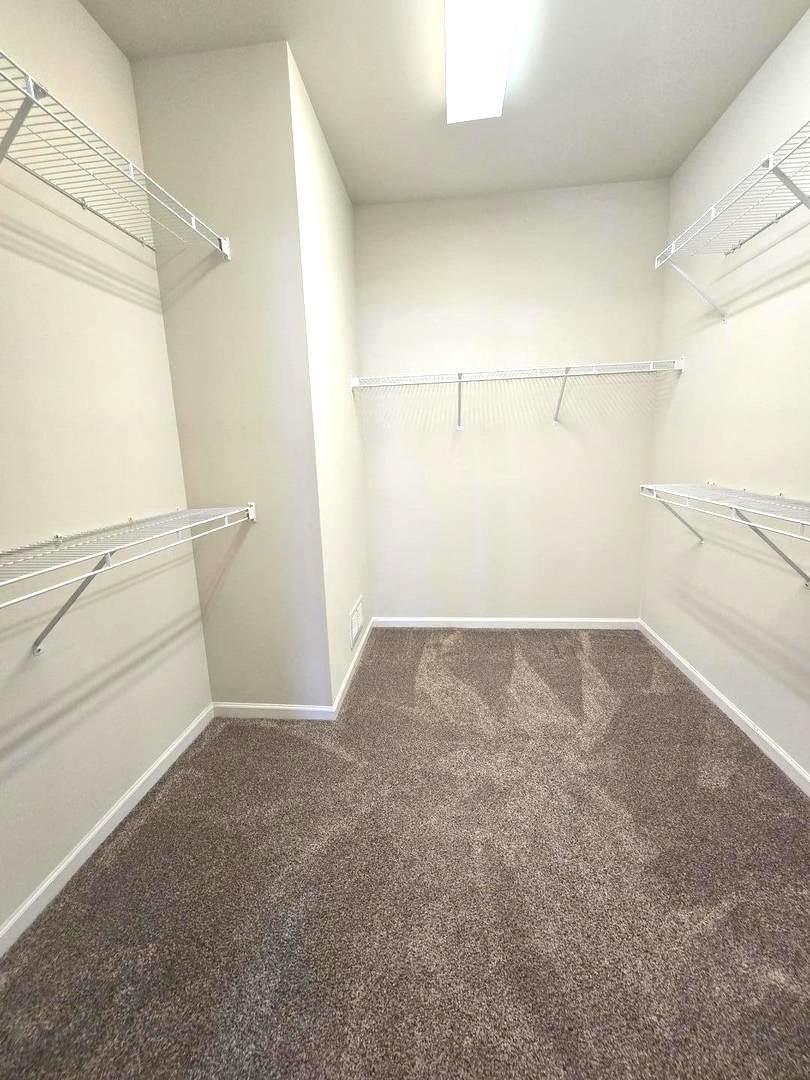 Gallery Image 19