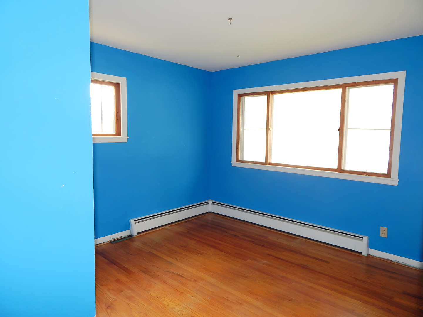 Gallery Image 19