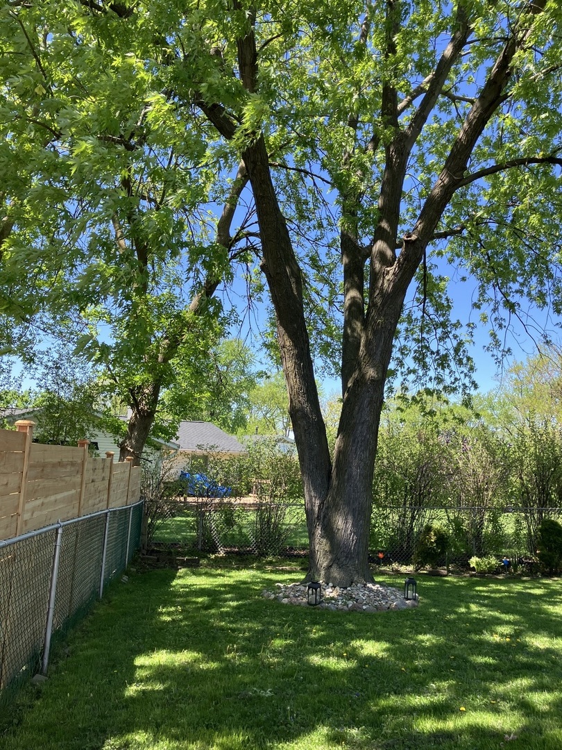 Gallery Image 23