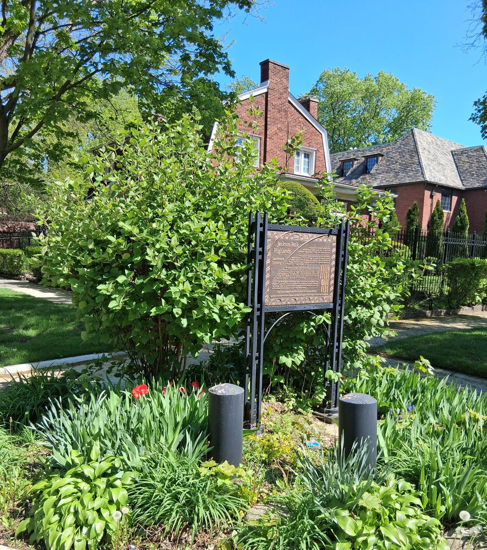 Gallery Image 8