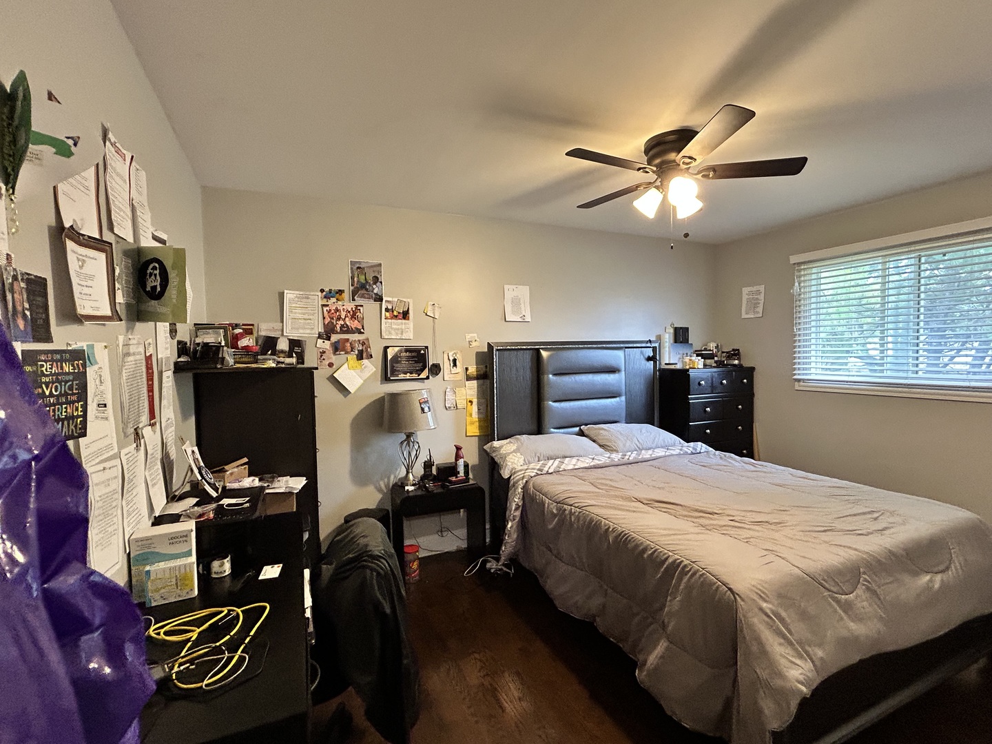 Gallery Image 20