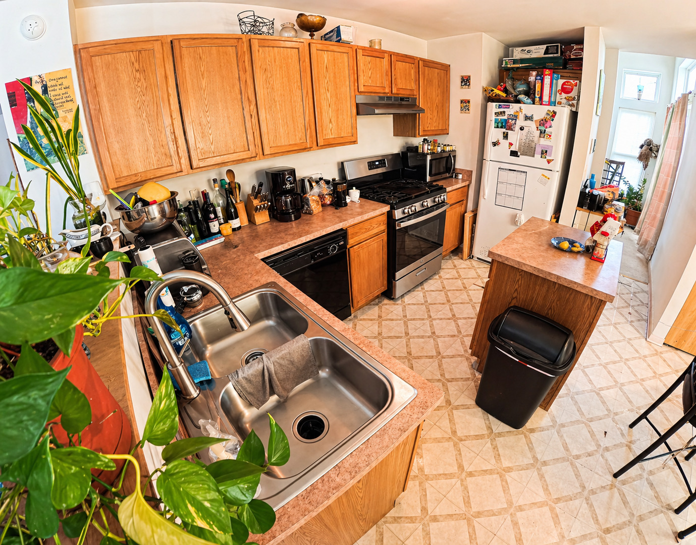 Gallery Image 7