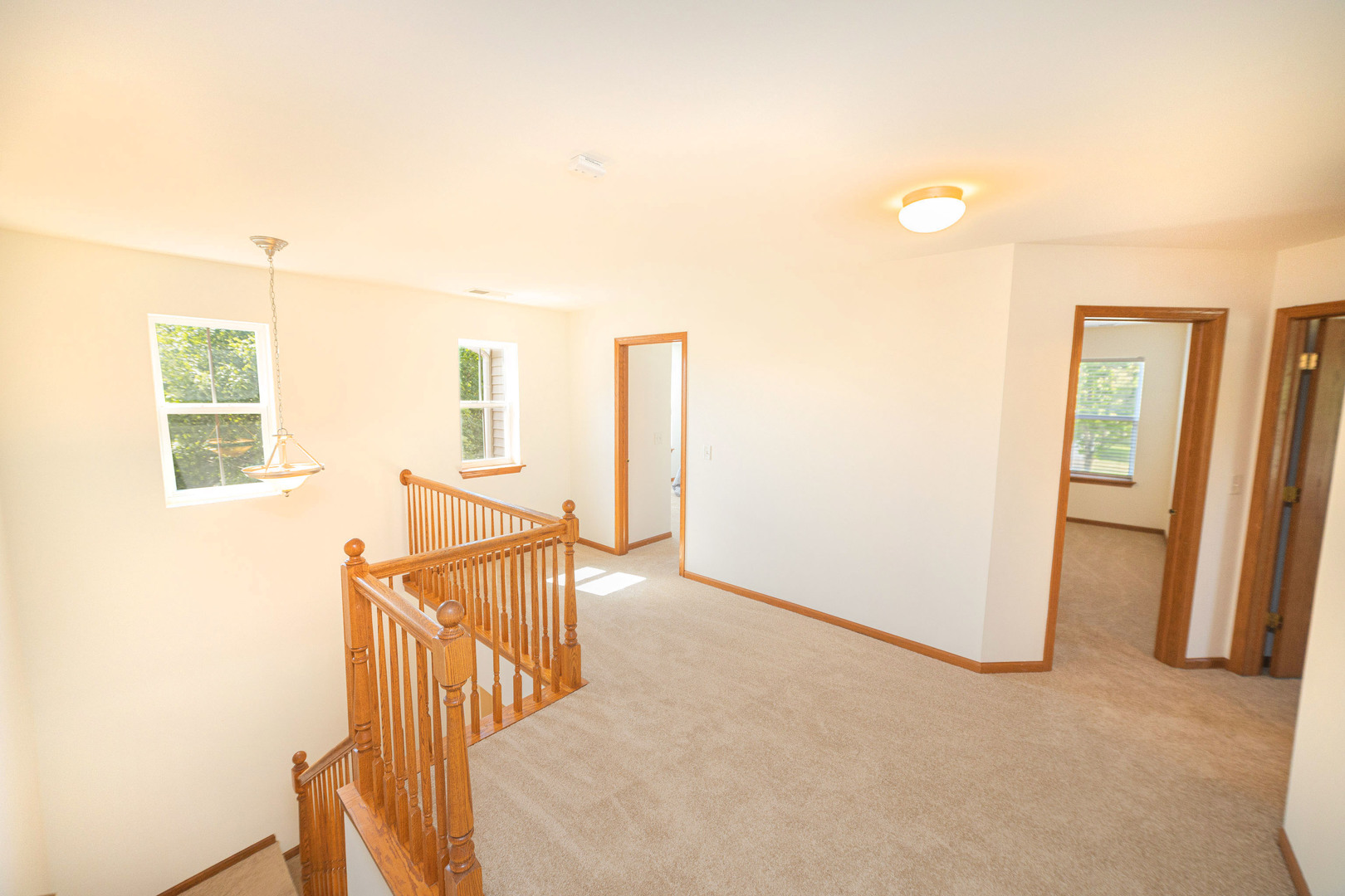 Gallery Image 20