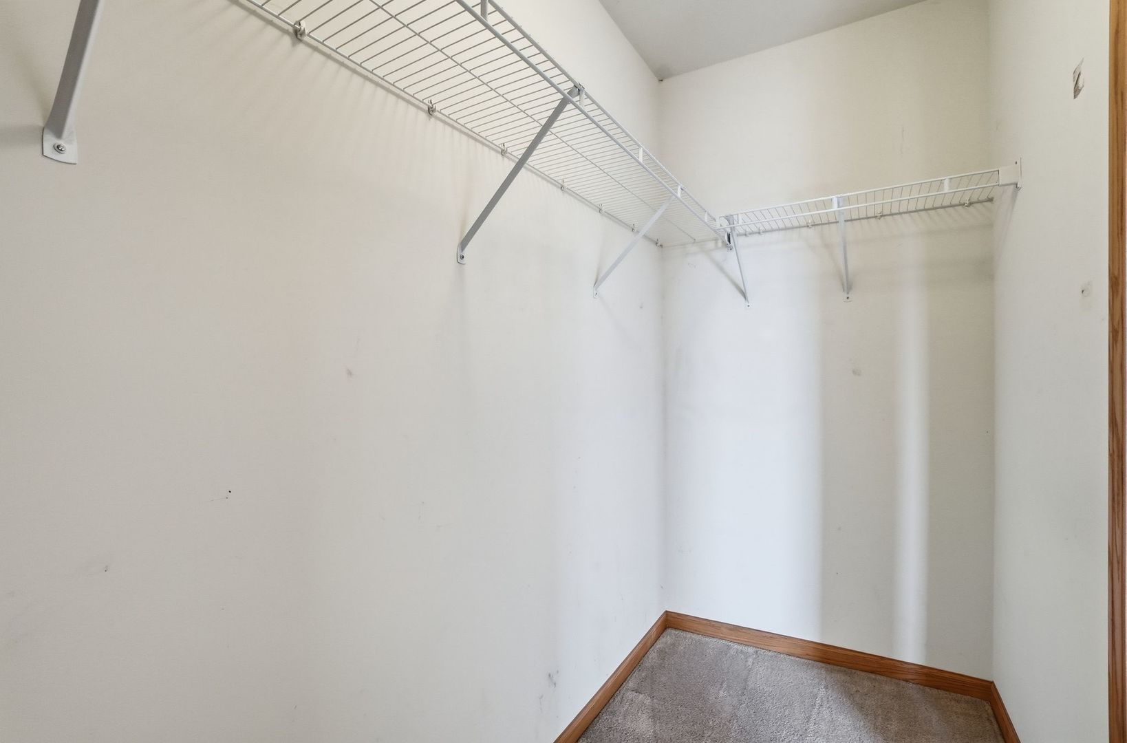 Gallery Image 19