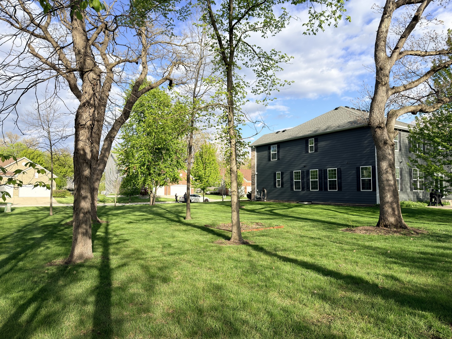 Gallery Image 48