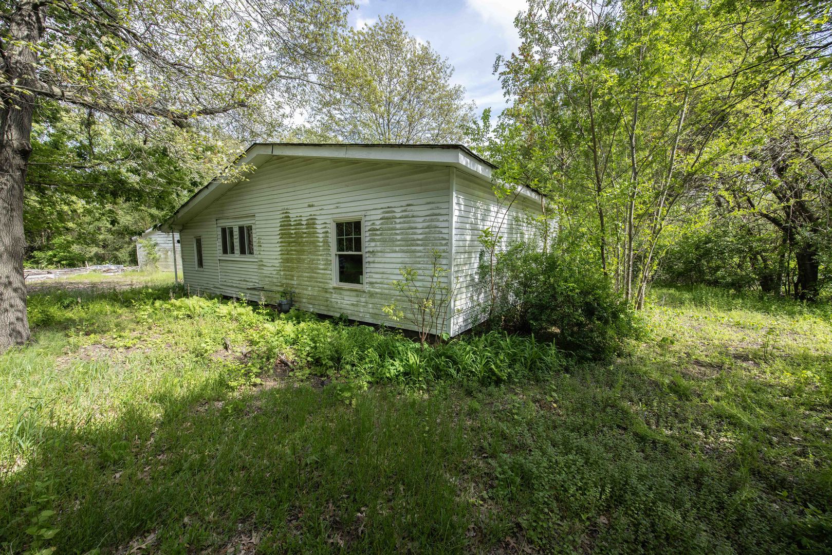 Gallery Image 11
