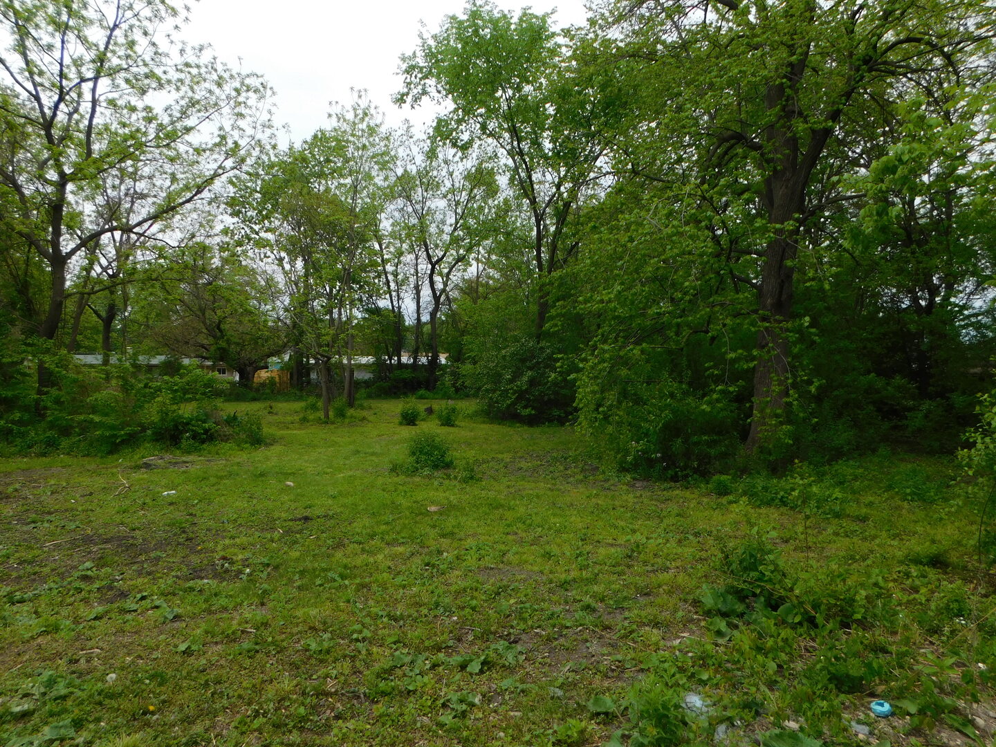Gallery Image 11