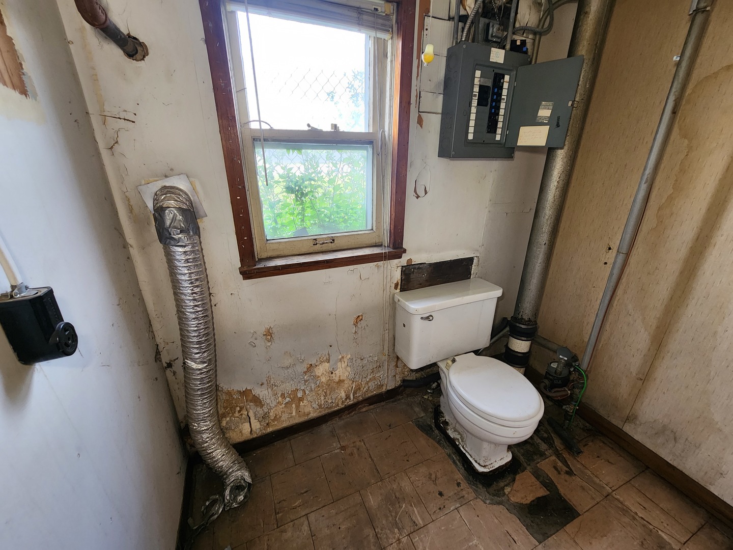 Gallery Image 8