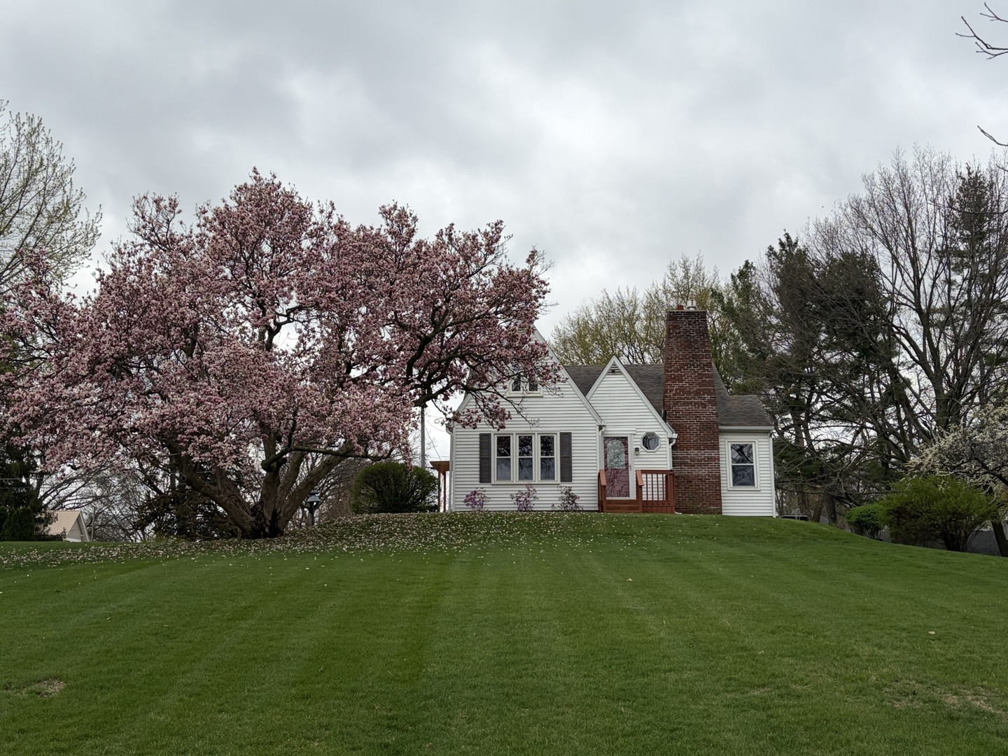Gallery Image 21