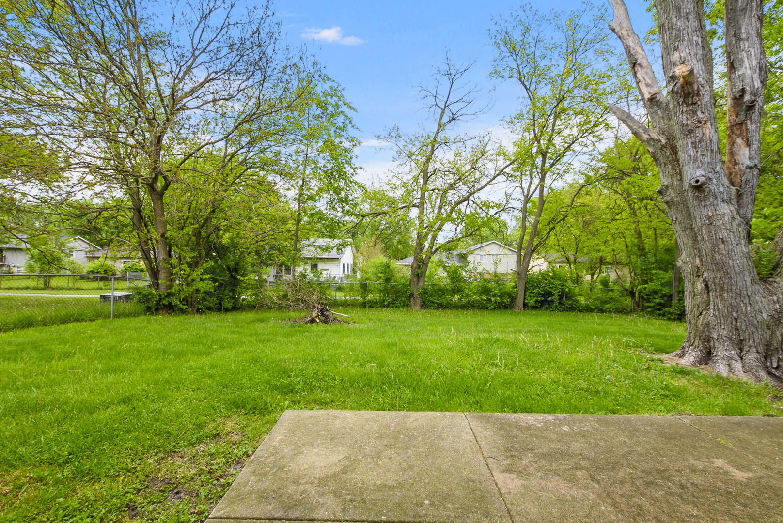 Gallery Image 12