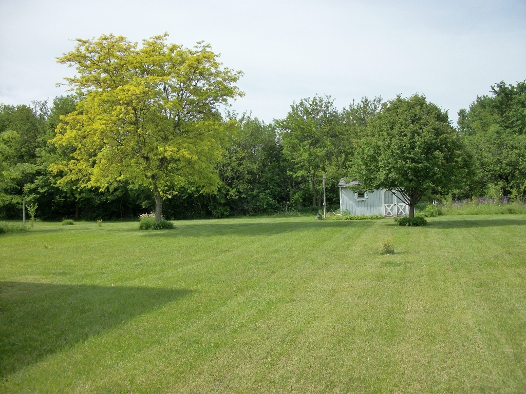 Gallery Image 20