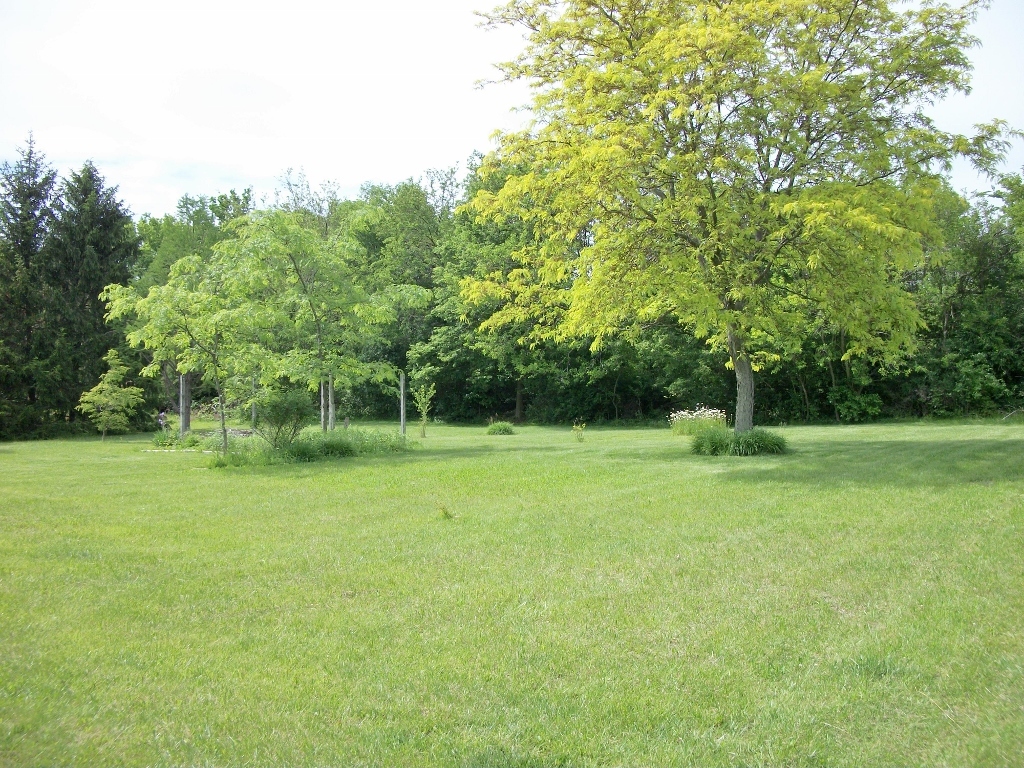 Gallery Image 18
