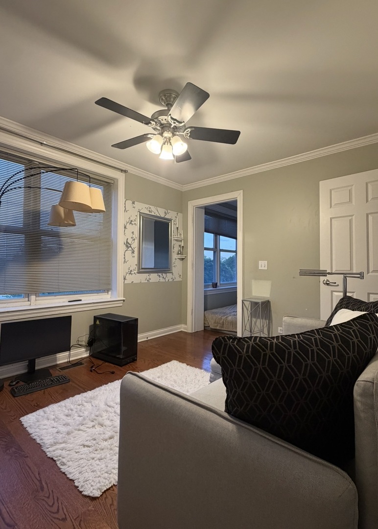 Gallery Image 8