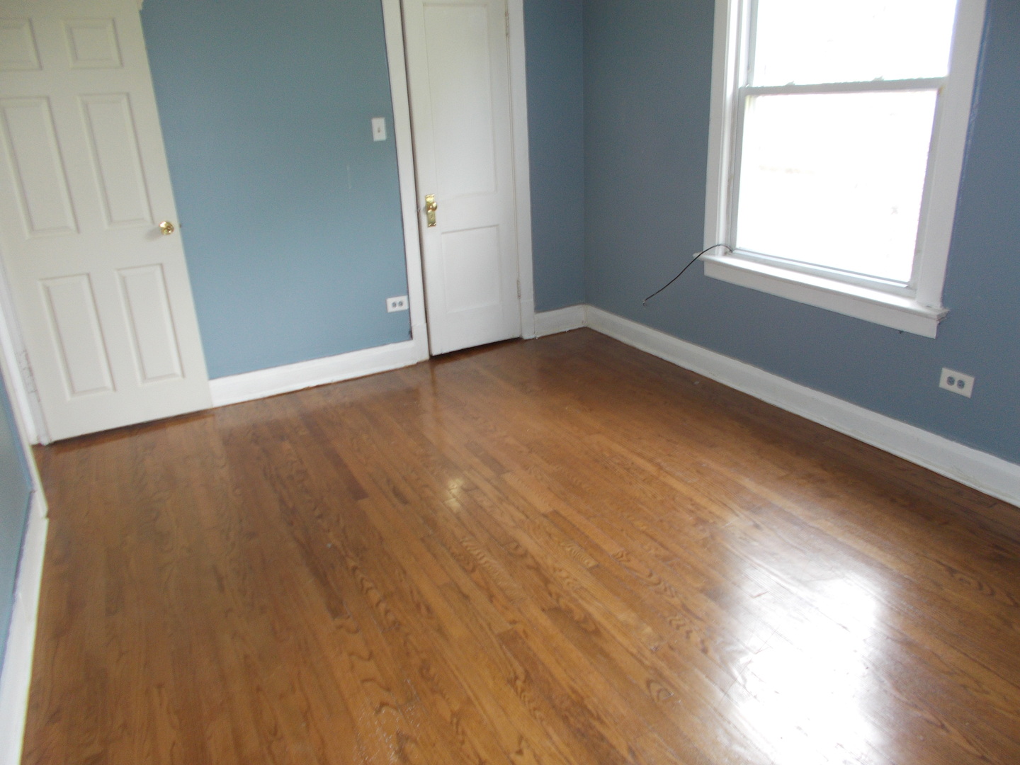 Gallery Image 8
