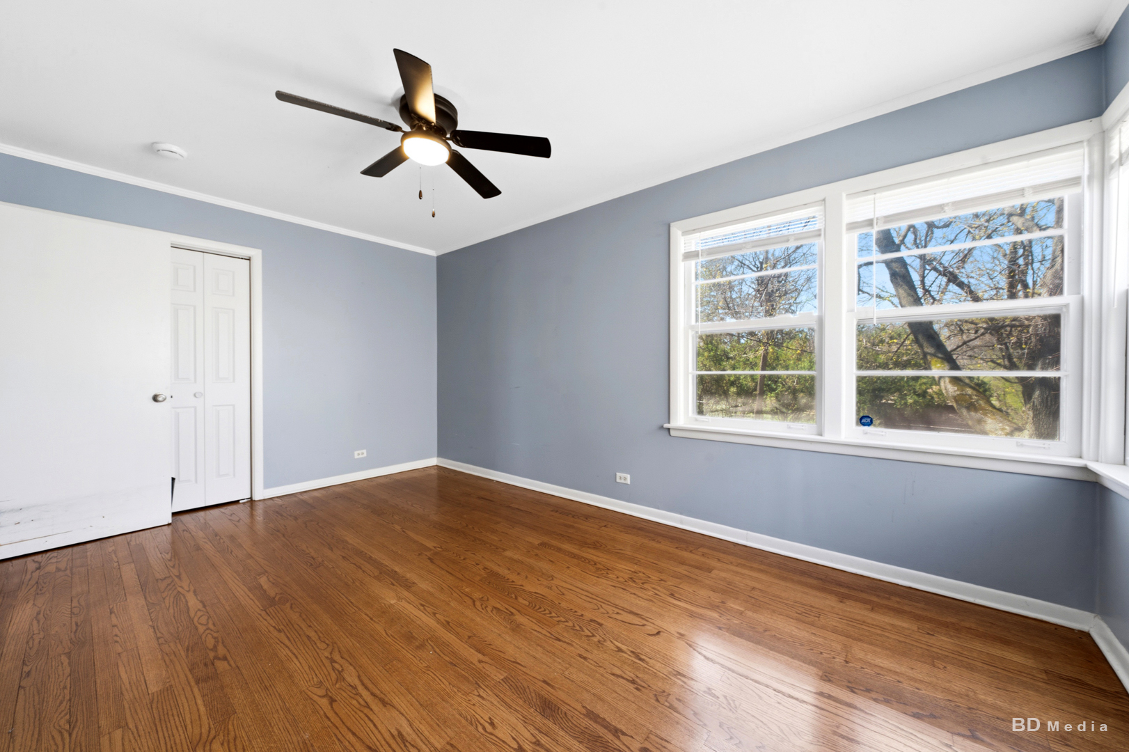 Gallery Image 13