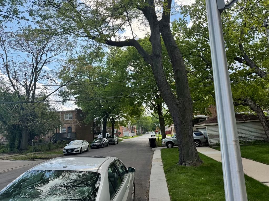 Gallery Image 13