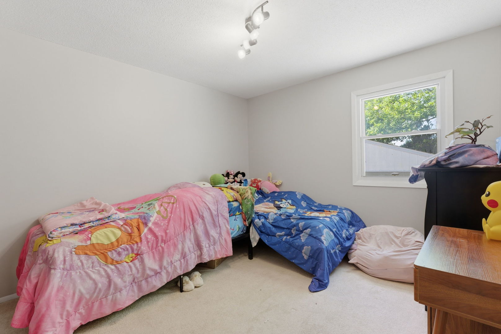 Gallery Image 19