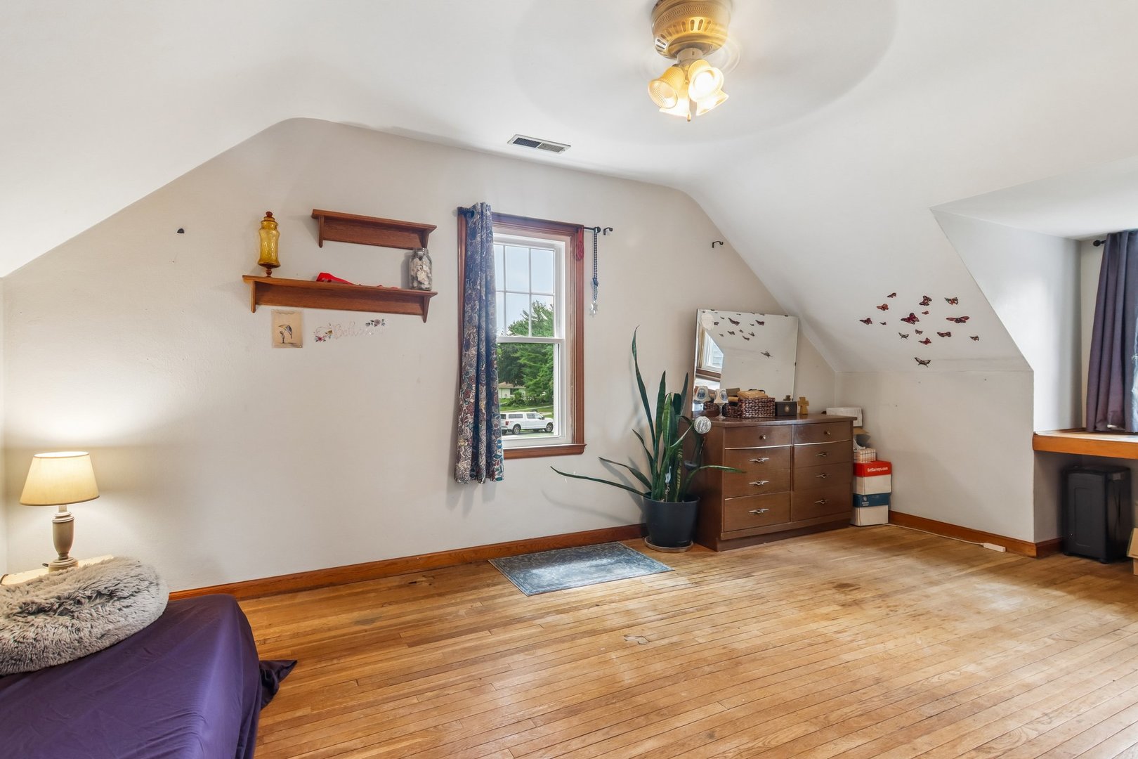 Gallery Image 19