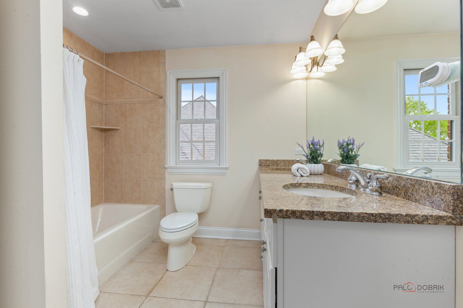 Gallery Image 18