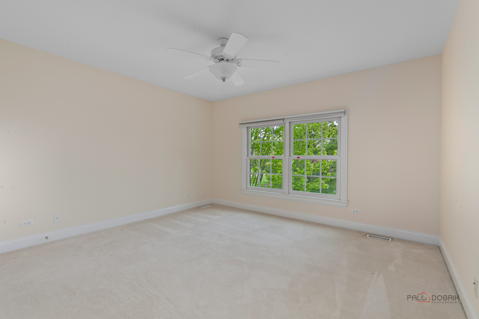 Gallery Image 19
