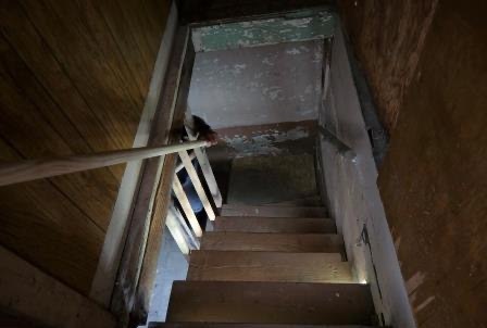Gallery Image 7