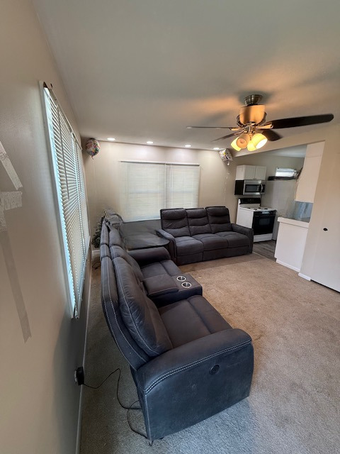 Gallery Image 18