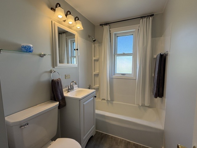 Gallery Image 12