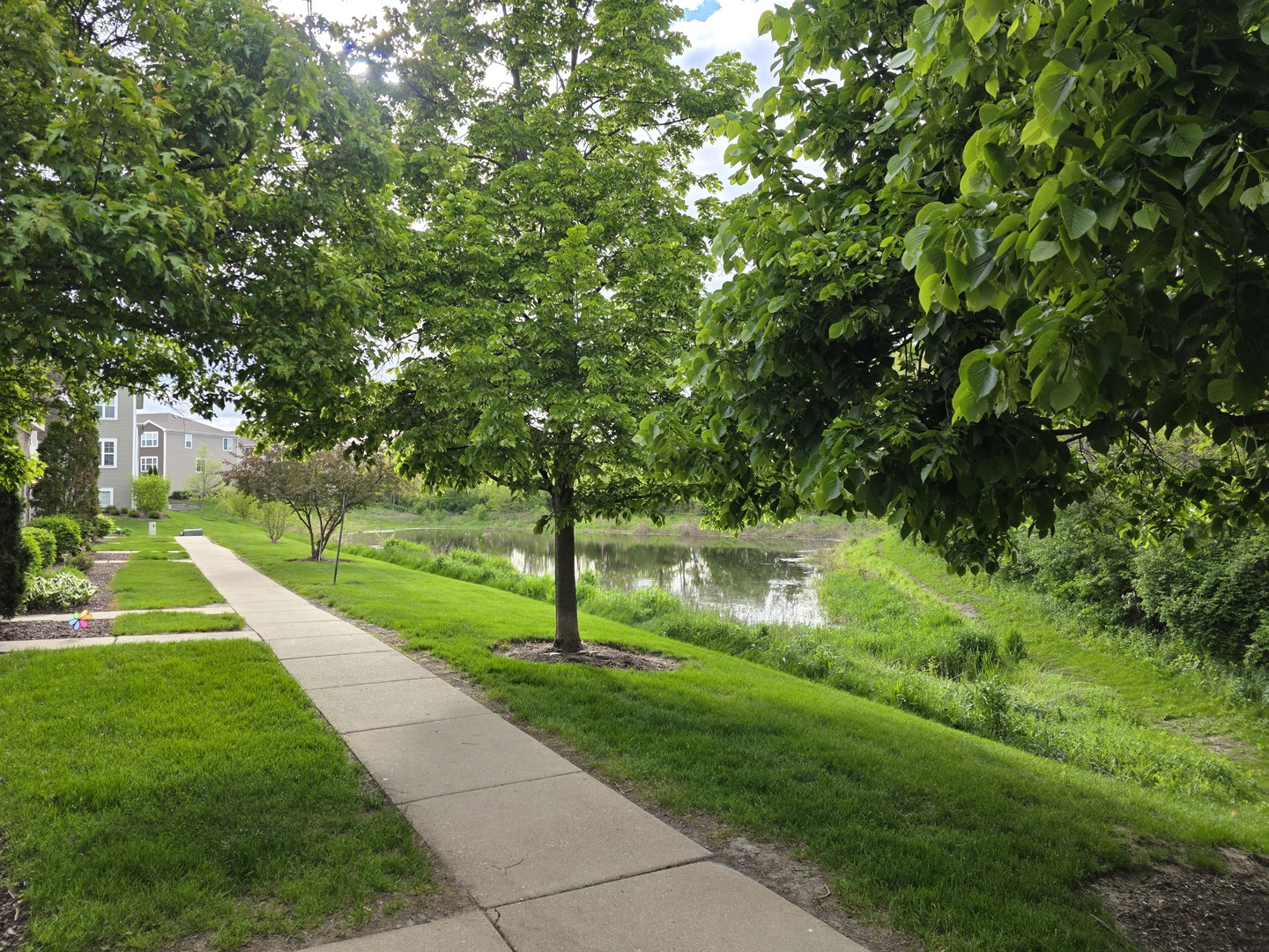 Gallery Image 41