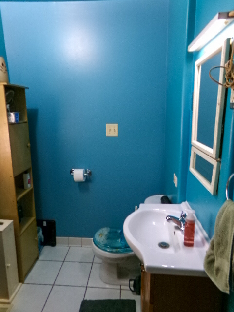 Gallery Image 20