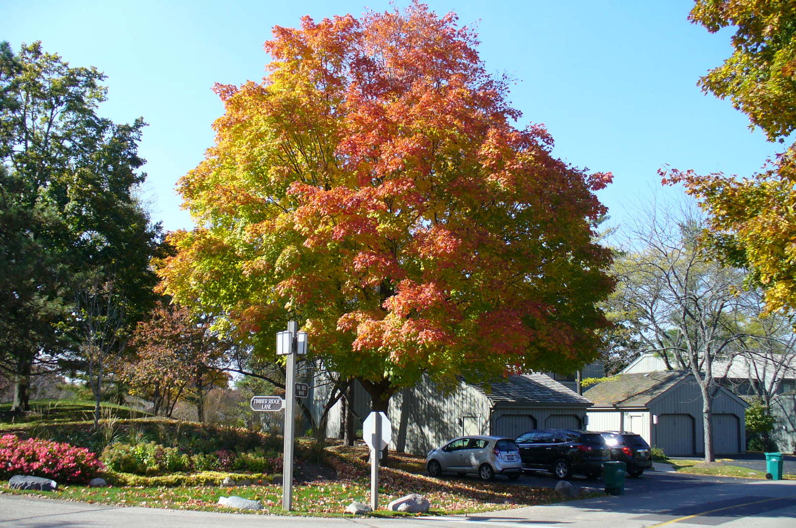 Gallery Image 59