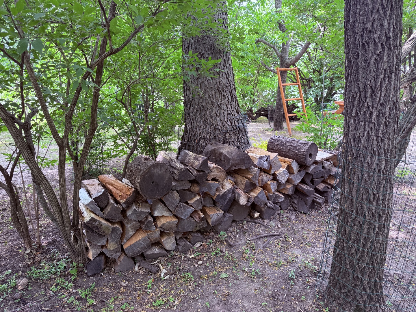 Gallery Image 40