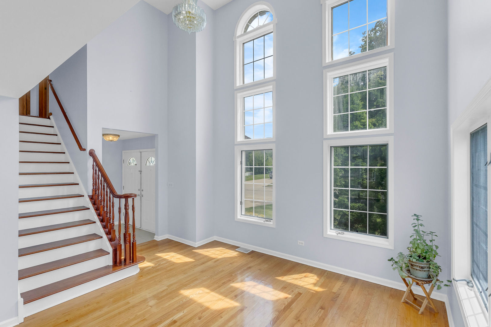 Gallery Image 8
