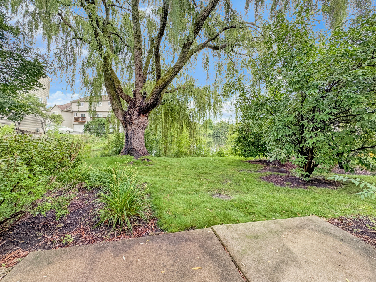 Gallery Image 14