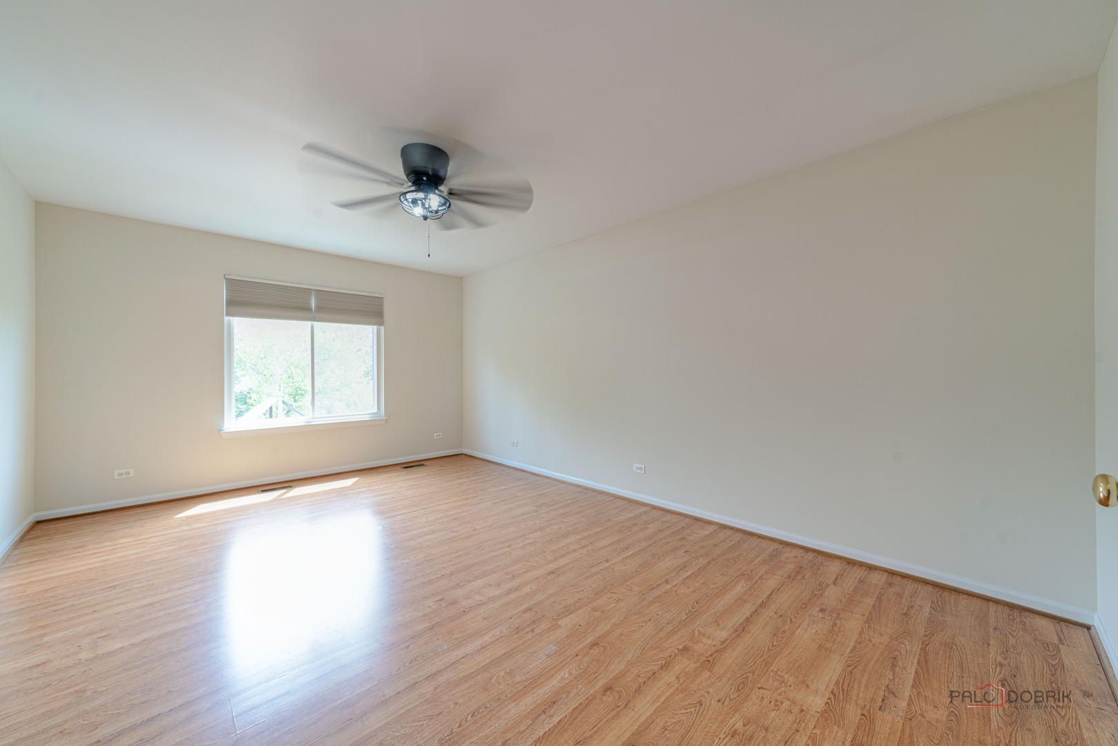 Gallery Image 19
