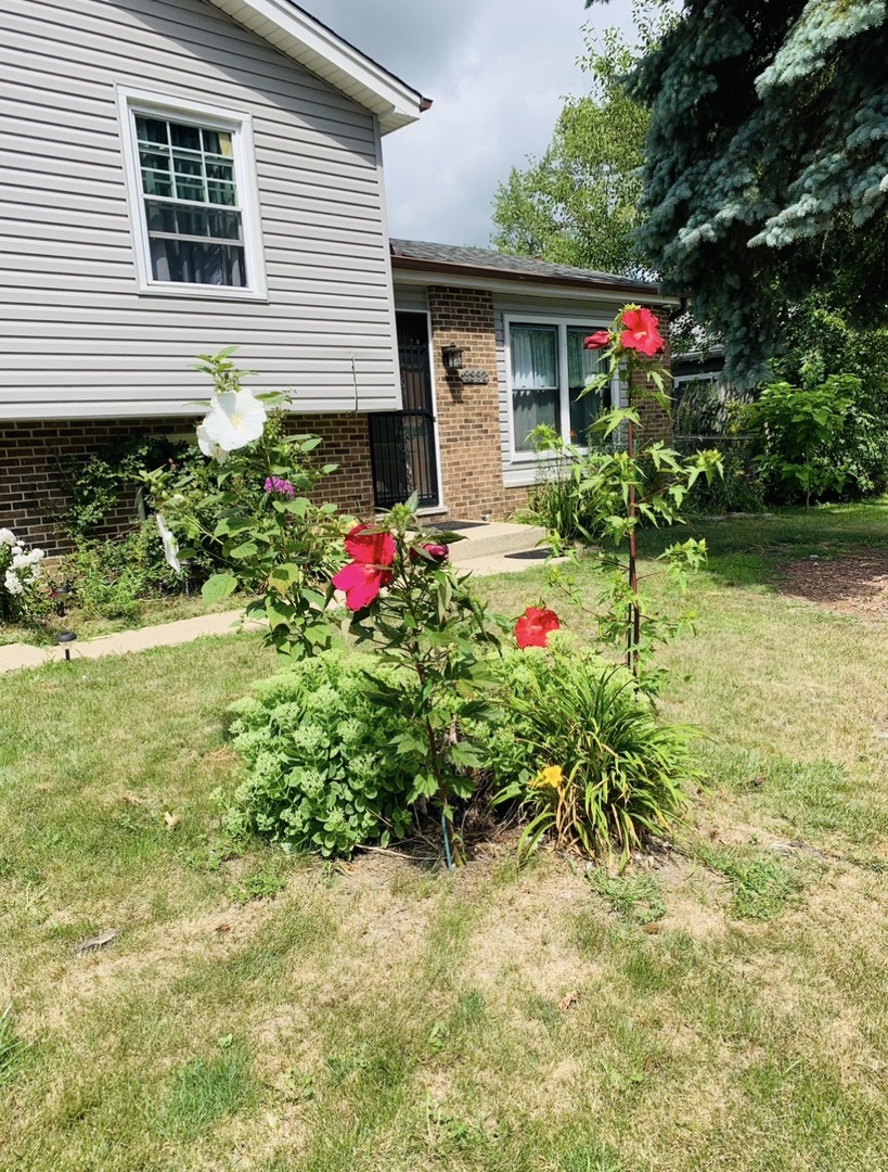 Gallery Image 25