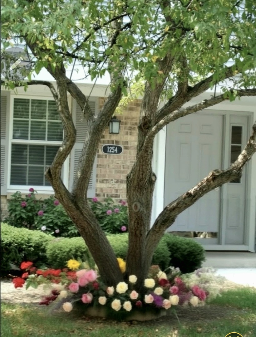 Gallery Image 41