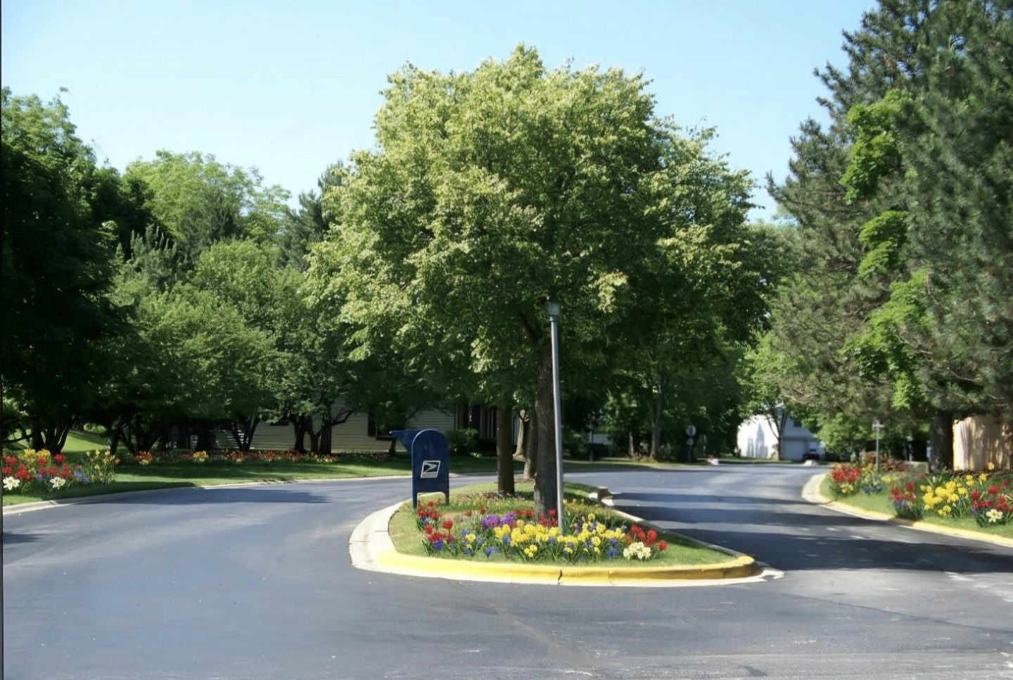 Gallery Image 38